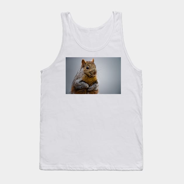 Grey Squirrel Tank Top by jaydee1400